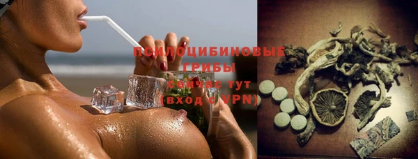 PSILOCYBIN Майский