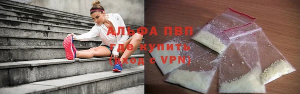 PSILOCYBIN Майский