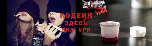 PSILOCYBIN Майский