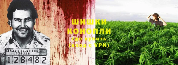 PSILOCYBIN Майский