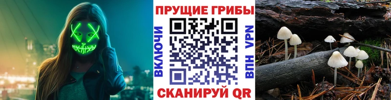 Псилоцибиновые грибы Magic Shrooms Янаул
